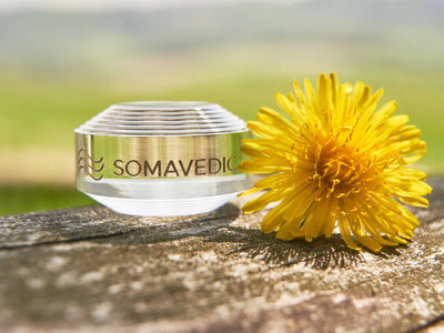 Somavedic Tiny Pure ( 有現貨 )